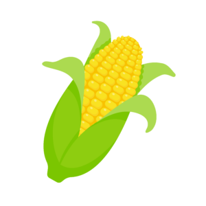 Corn